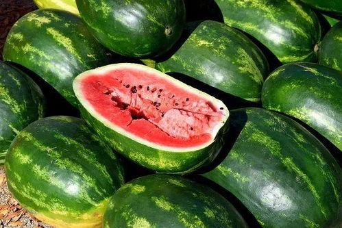 吃瓜素材视频下载免费,揭秘热门素材视频免费下载攻略 第3张 吃瓜素材视频下载免费,揭秘热门素材视频免费下载攻略 第3张